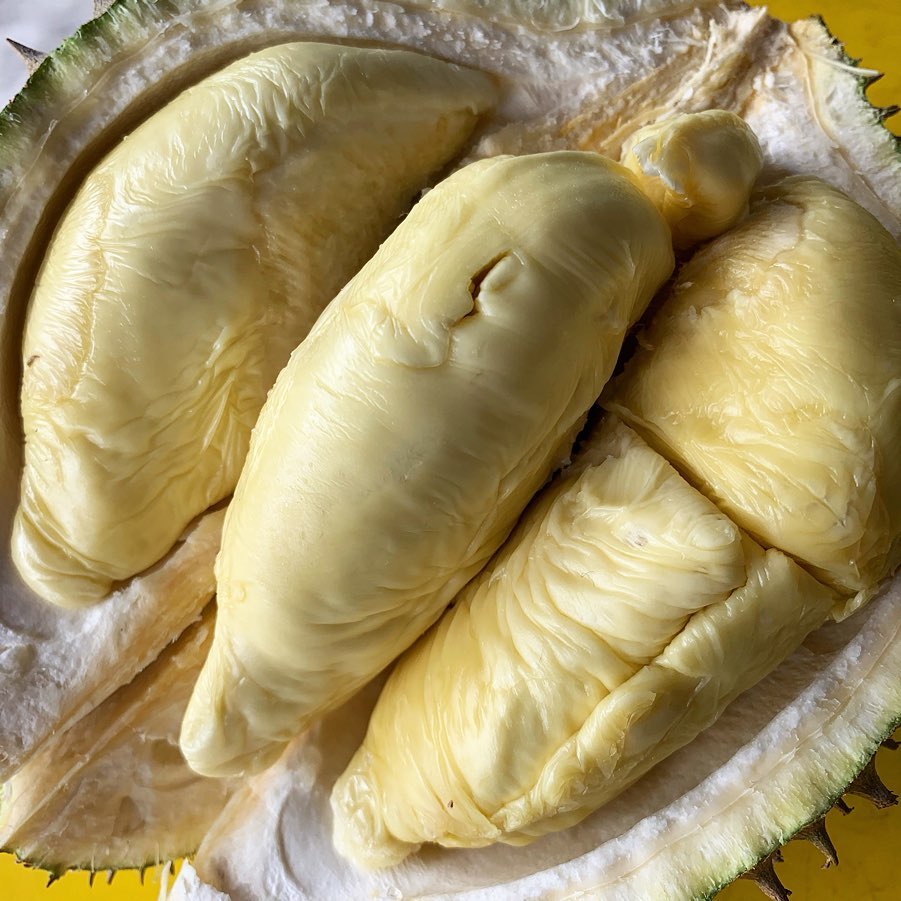 "Butter King" Durian: Durio zibethinus OLD MALAYSIAN VINTAGE - Hapa Joe's Nursery -