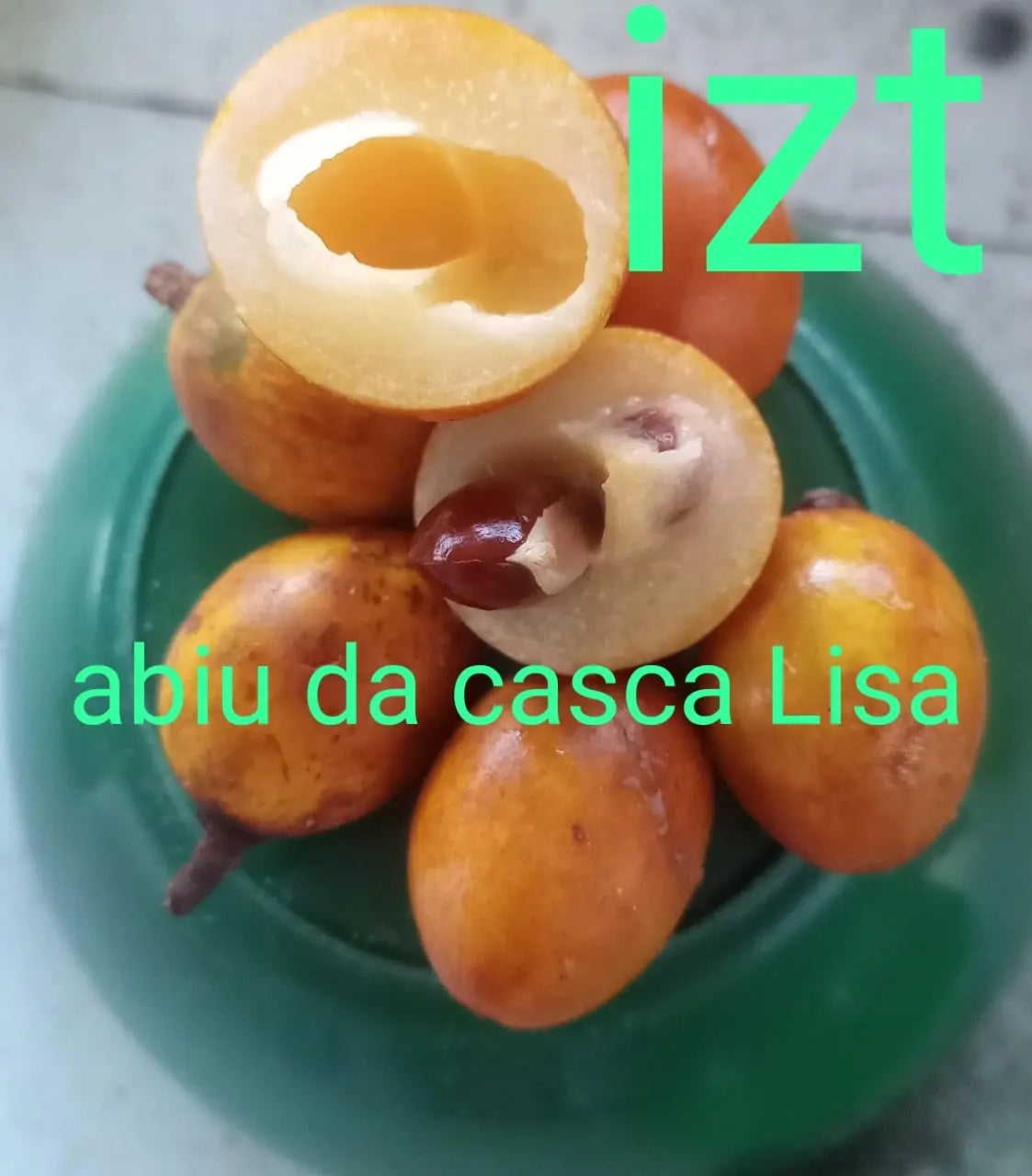 Pouteria elegans "Caramuri"