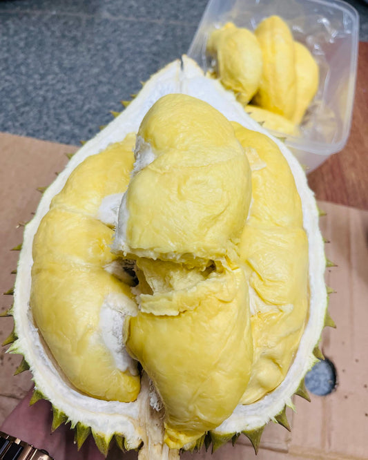 "SIJAMPANG" Durian: Durio zibethinus Possible cold hardy 50