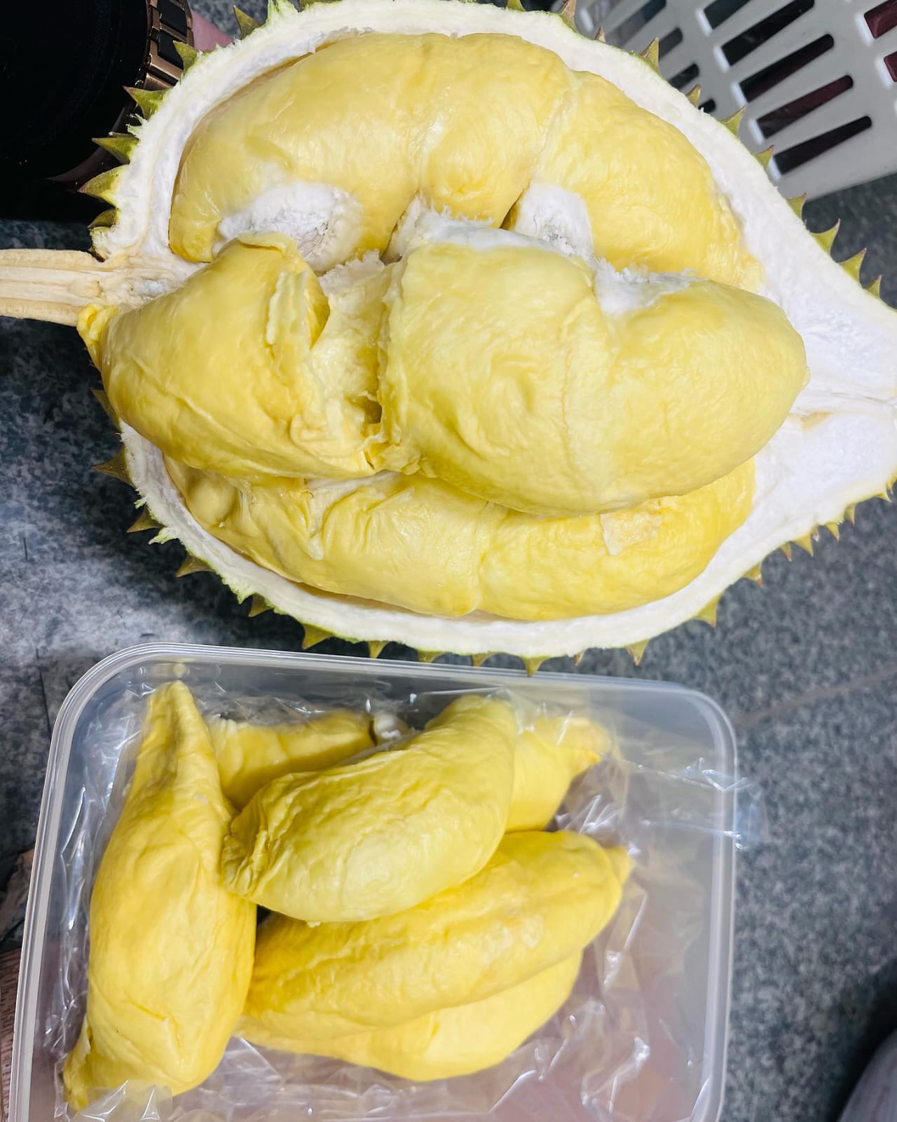 "SIJAMPANG" Durian: Durio zibethinus Possible cold hardy 50